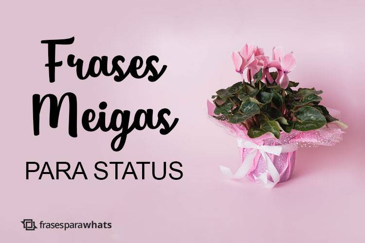 Frases Meigas para Status - Frases para Whats